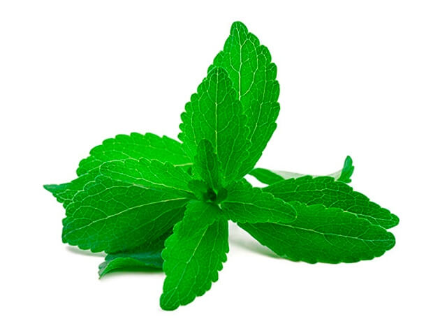 Da variedade mentha piperita cujo principal componente químico é o mentol. Possui um aroma herbal forte fresco e mentolado.

Ele é muito utilizado na área alimentícia e farmacêutica também na aromaterapia e indústria cosmética. Tem uma ação antiviral, antifúngica e antimicrobiana, além disso, possui proriedades analgesica, antigases, expectorante, vasodilator, contra dores de cabeça, problemas digestivos, fortalecimento do cabelo e da pele entre outros.